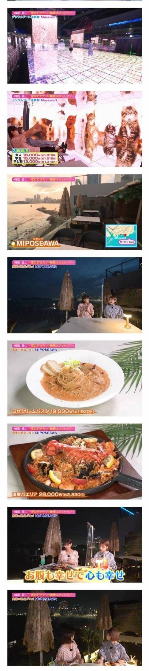 일본 방송에 나온 부산 여행 jpg