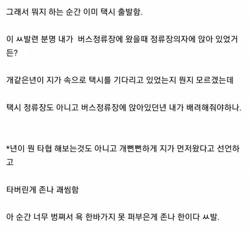 택시를 긴빠이 당한 개붕이