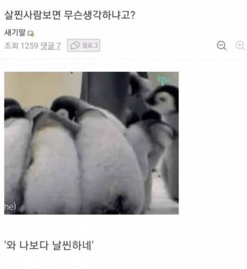싱글벙글 다이어트 갤러리...jpg
