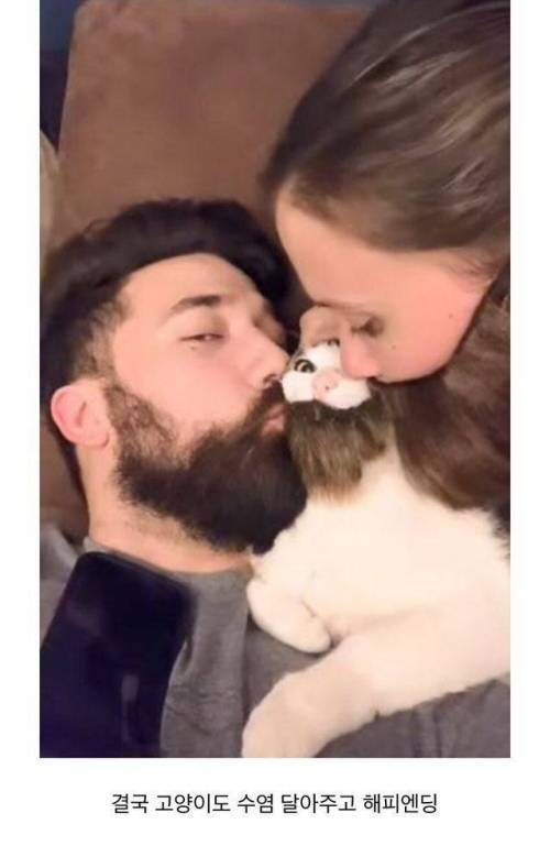 고양이가 남편만 좋아하는 이유