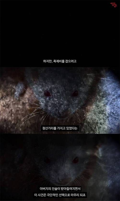 범인을 알아도 잡을 수 없는 일본 3억엔 탈취사건