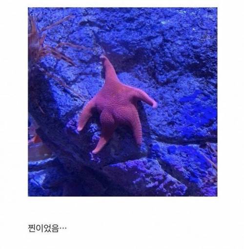 의외로 고증이 철저한 애니.jpgif