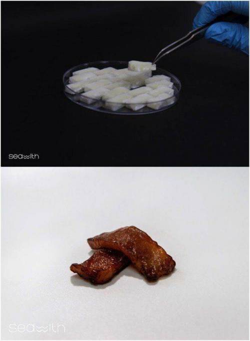 슬슬 특이점이 오고 있는 인공배양육