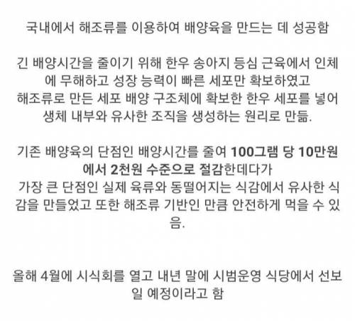 슬슬 특이점이 오고 있는 인공배양육