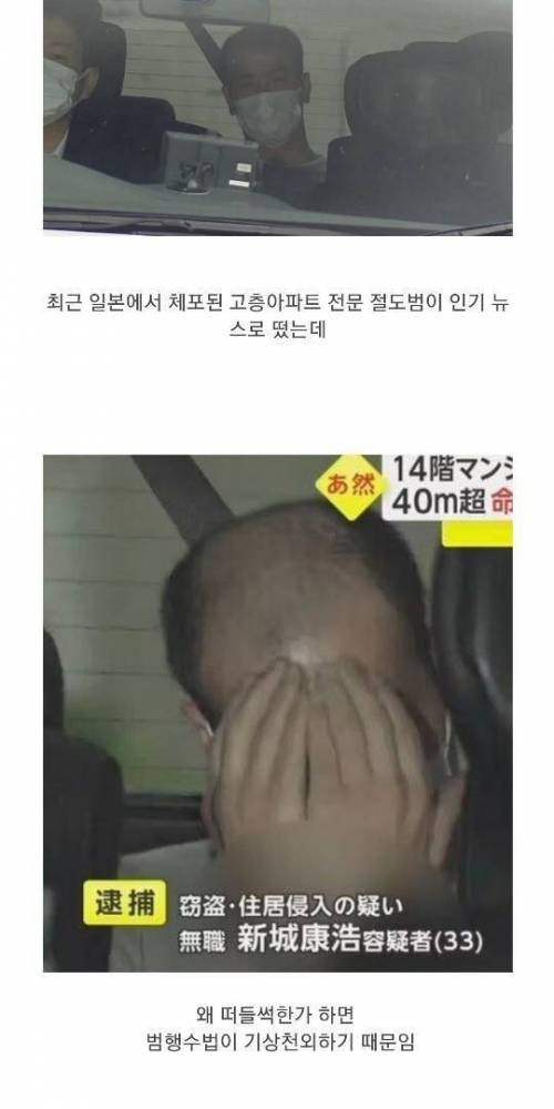 일본에 나타난 ㄹㅇ닌자