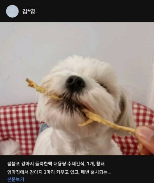 강아지 황태 리뷰