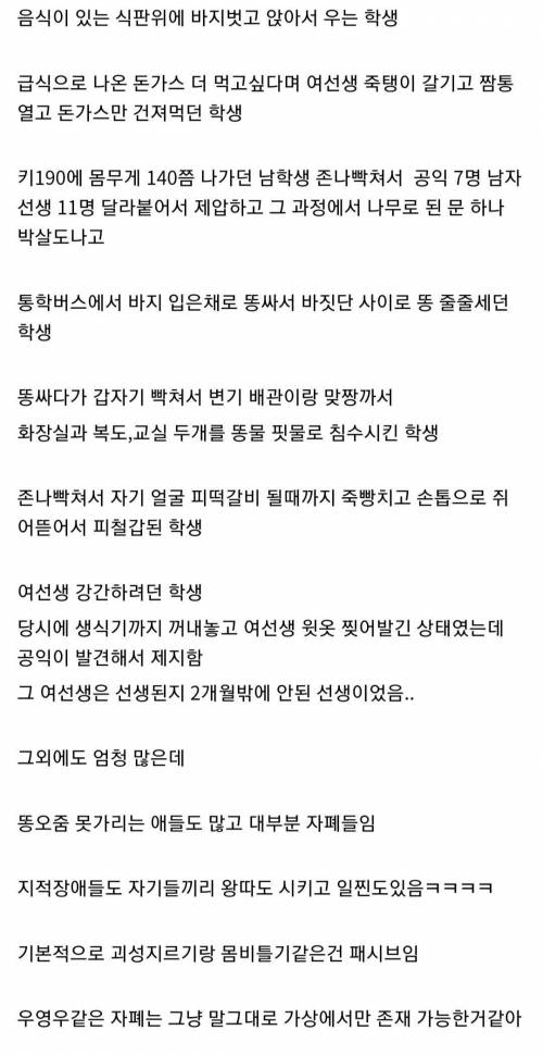 지적장애 300명 이상 있는 특수학교에서 근무한 디시인