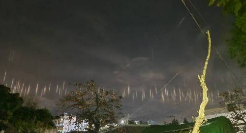 실시간 제주도 근황