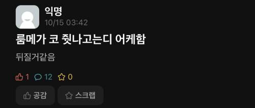 룸메 코골이 빌런 대처법....jpg