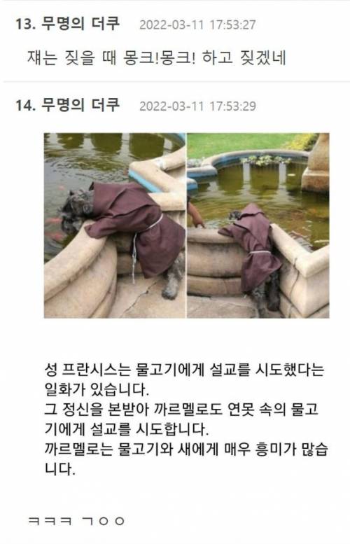 성프란시스 수도원에 입양된 유기견