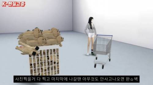 요즘 10대 20대들 유행 특징