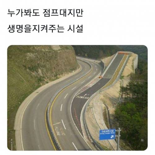 				누가 봐도 점프대지만 생명을 지켜주는 시설