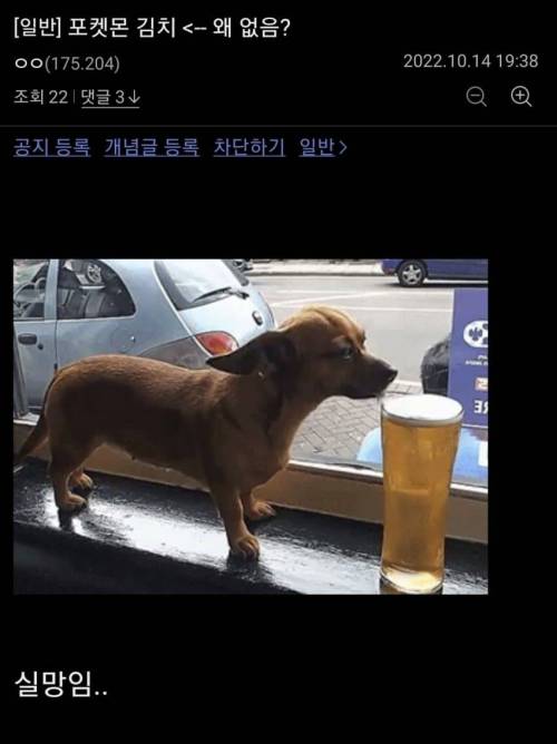 포켓몬 김치 <--- 왜 없음?