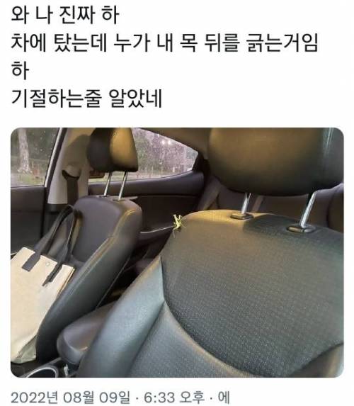 차에 탔다가 기절할 뻔한 이유
