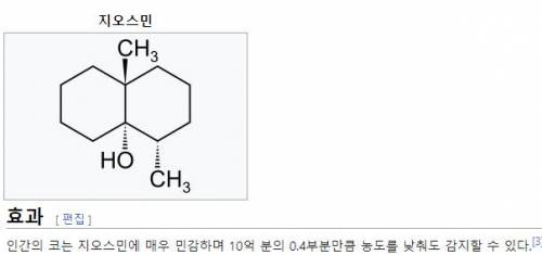 인간의 후각이 나쁘지 않은 이유.jpg