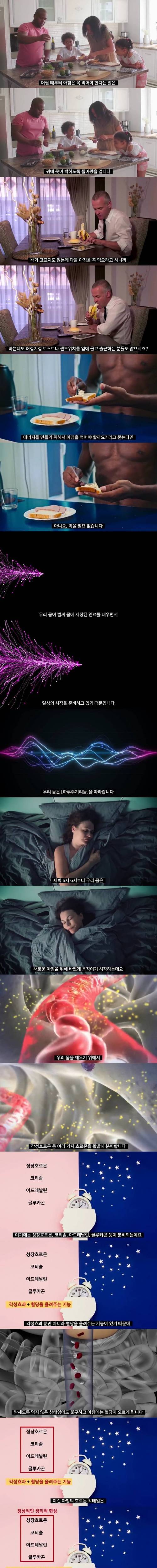 아침 꼭 먹을 필요없다..jpg