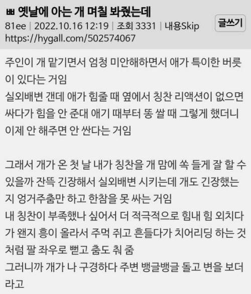 옛날에 아는 개 며칠 봐줬는데