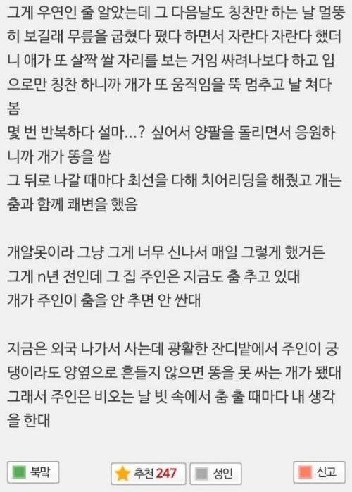 옛날에 아는 개 며칠 봐줬는데