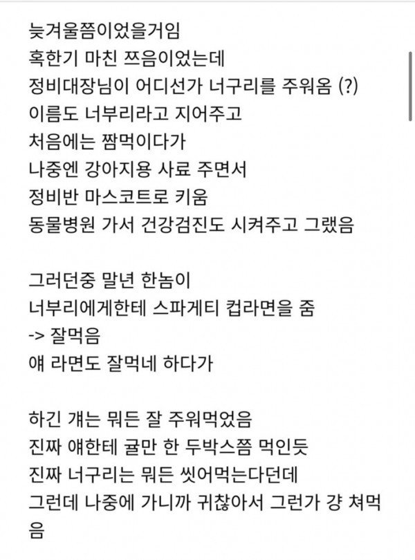 의외로 너구리한테 주면 안되는 것