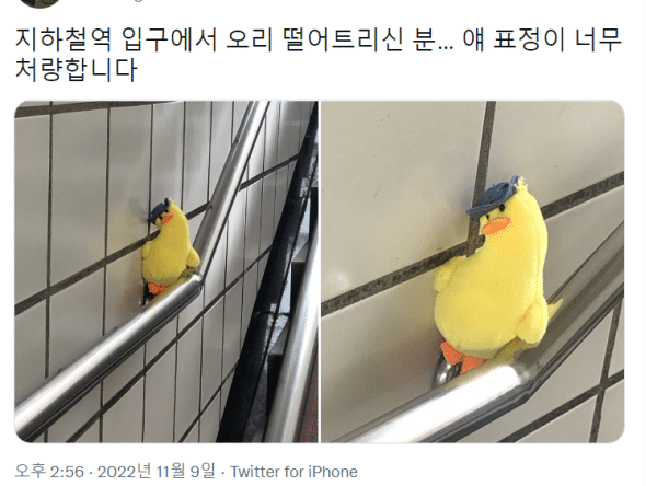 지하철역 입구에 오리 떨어트리신 분