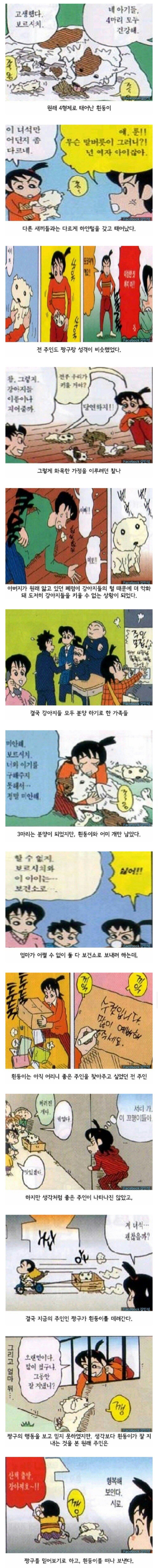 짱구가 흰둥이를 입양한 과정