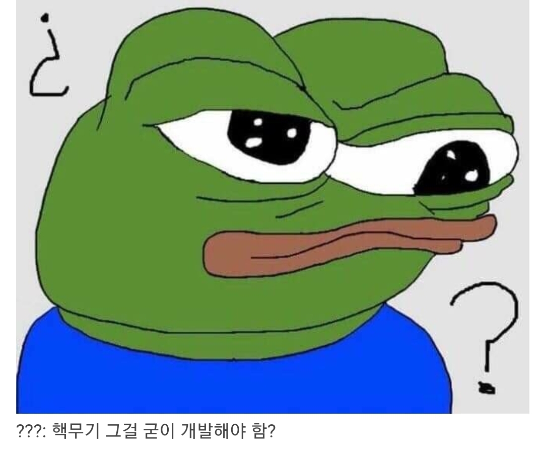 핵무기를 그걸 굳이 개발해야됨???