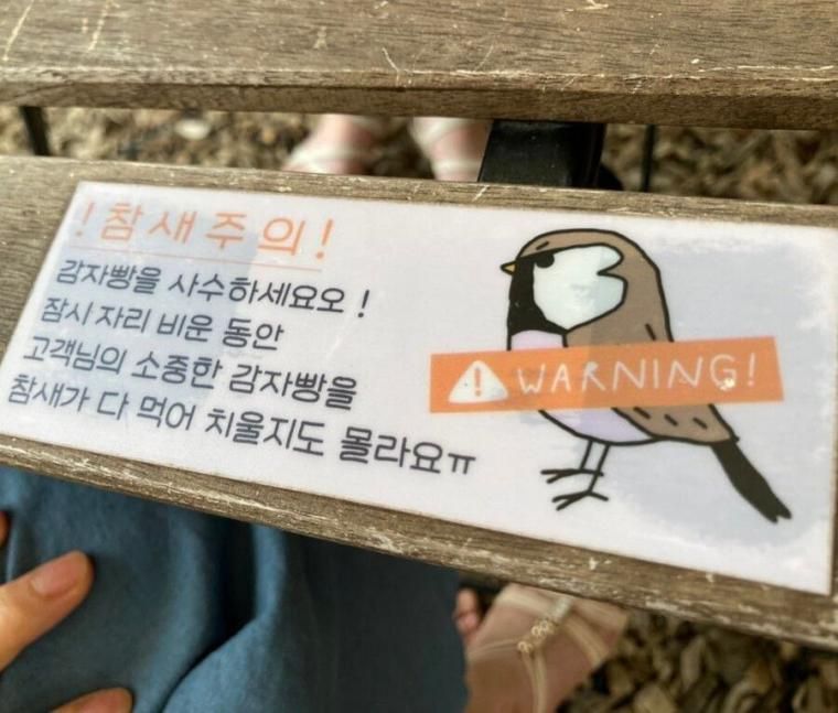 어느 감자빵 맛집에 붙은 경고문
