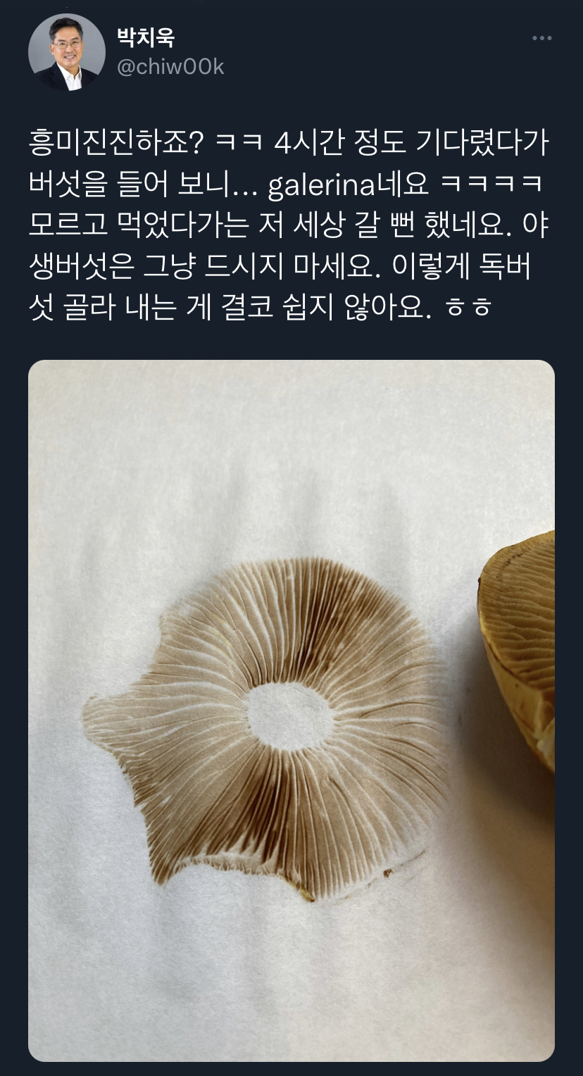 마당에 핀 버섯이 식용인지 독버섯인지 알아내는법.twt
