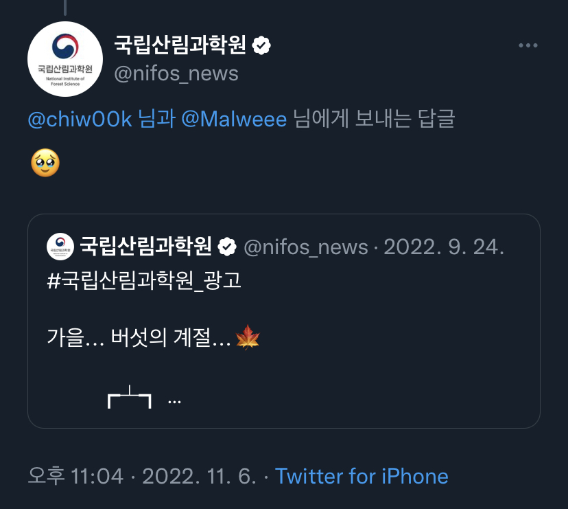마당에 핀 버섯이 식용인지 독버섯인지 알아내는법.twt