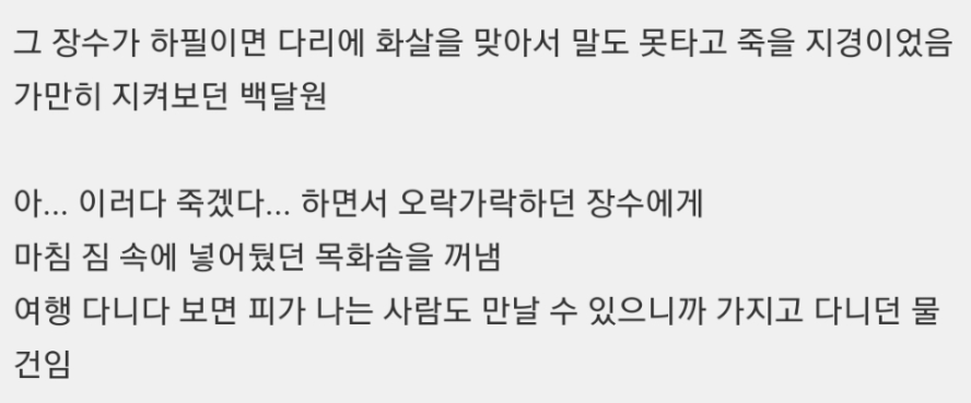 보부상 머리에 햄스터 두마리 얹고 다니는 이유.jpg