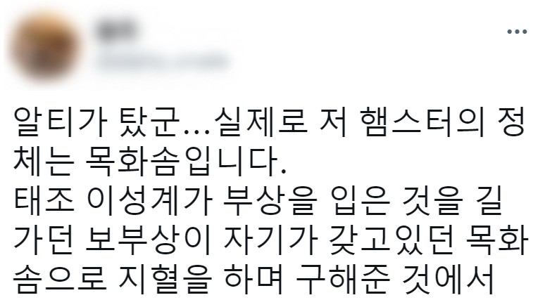 보부상 머리에 햄스터 두마리 얹고 다니는 이유.jpg