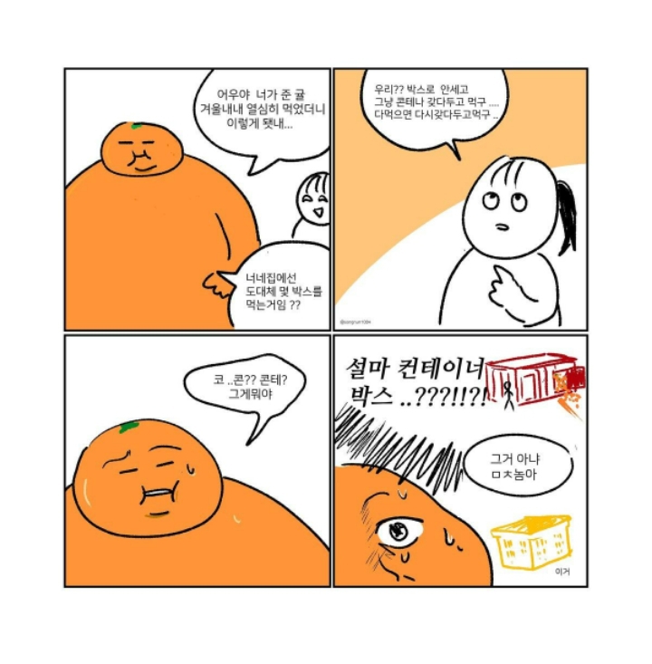 제주도 친구에게 귤이란.jpg
