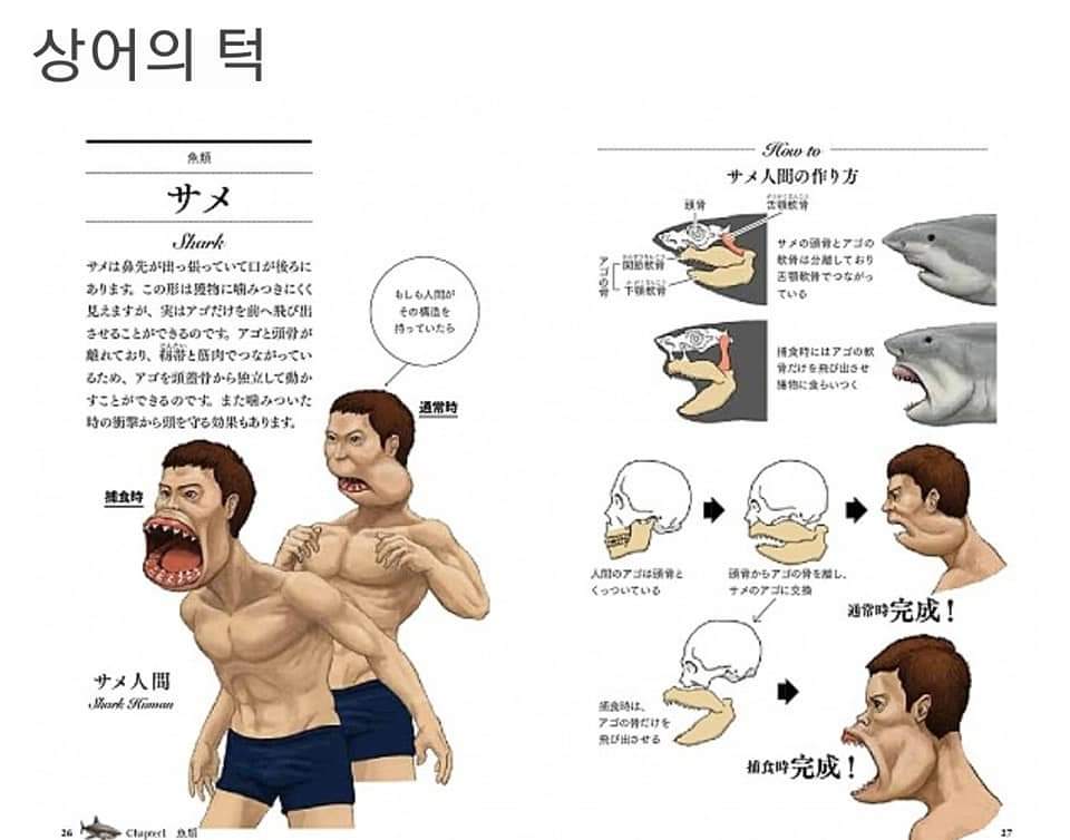 싱글벙글 동물과 사람의 골격 비교