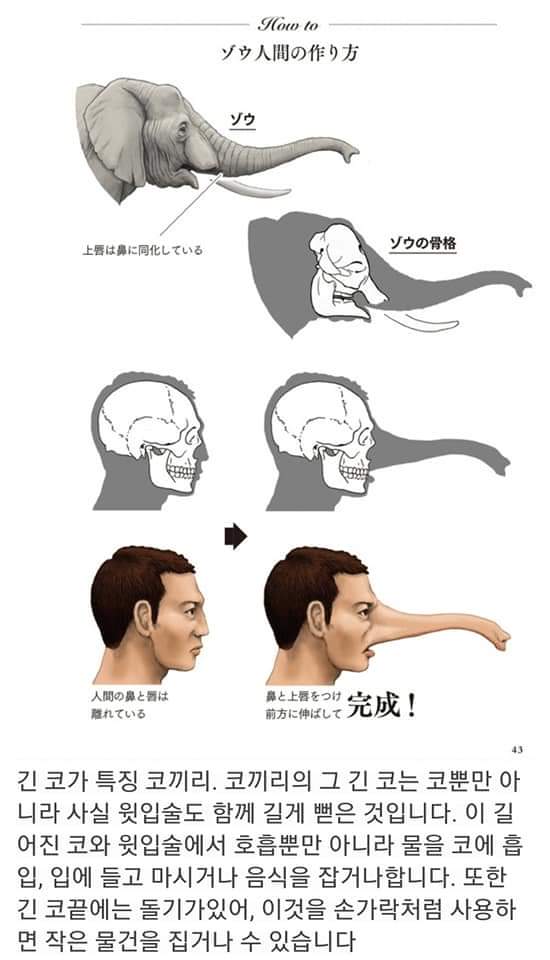 싱글벙글 동물과 사람의 골격 비교