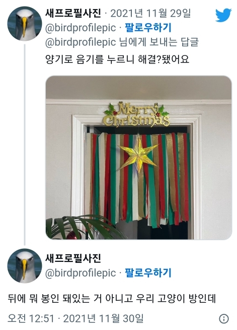 아니 ㅜ 직접 크리스마스 장식 만들었는데 무당집 됐음.twt