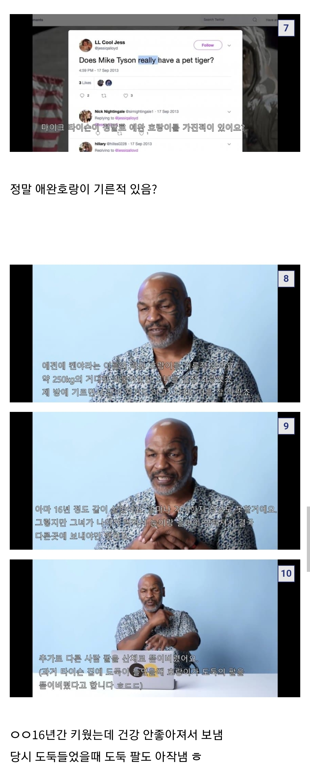 타이슨에게 궁금한 것을 물어보세요...jpg
