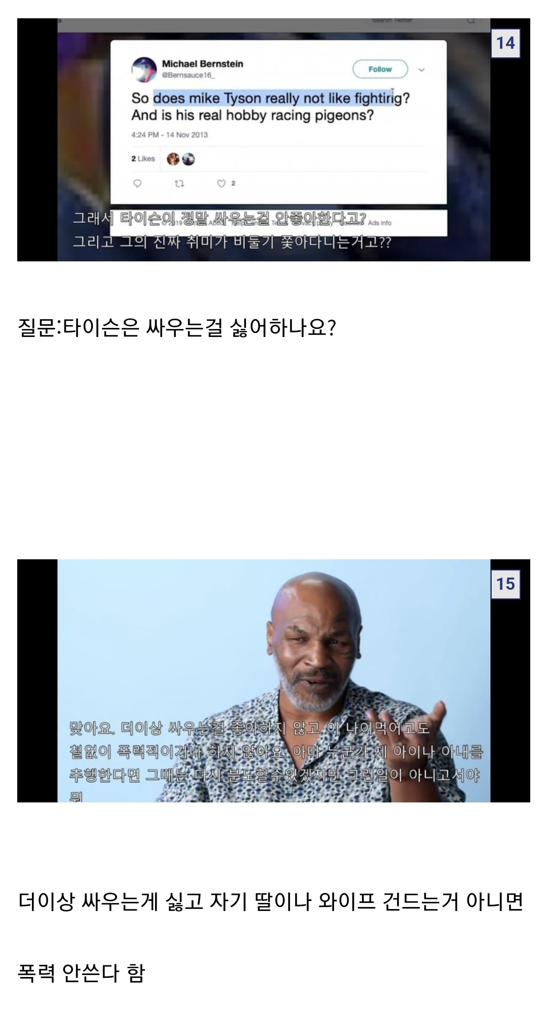 타이슨에게 궁금한 것을 물어보세요...jpg