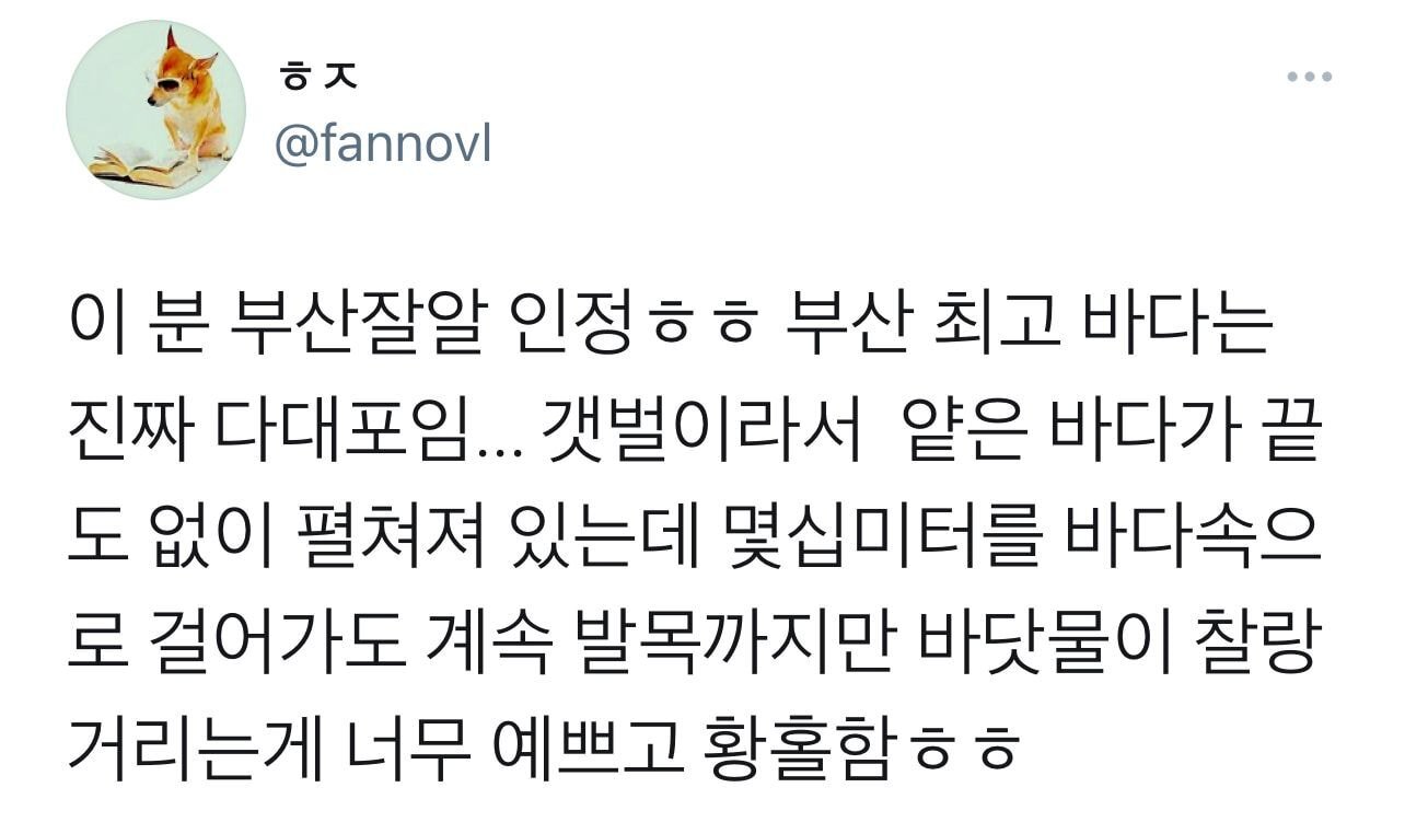 캘리포니아 체험 가능하다는 부산 바다