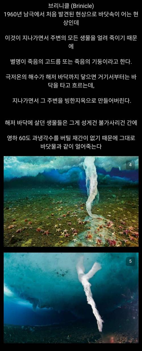바닷속 죽음의 기둥.mp4