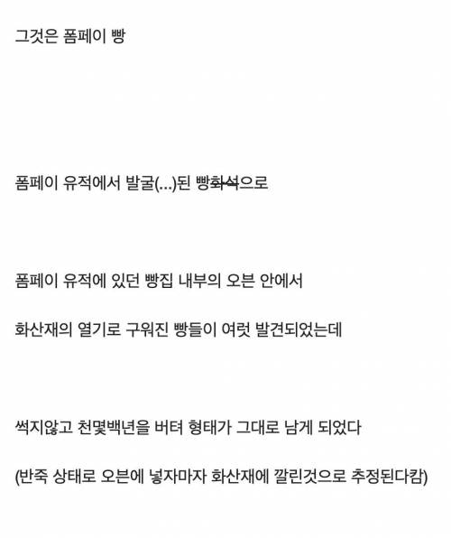 어쨌든 세상에서 가장 단단한 빵.jpg