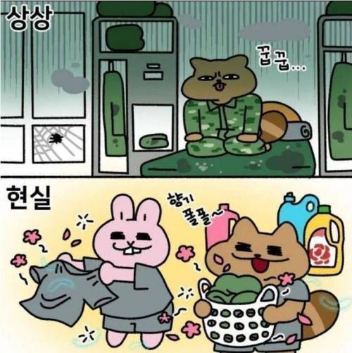 군대 냄새 상상과 현실