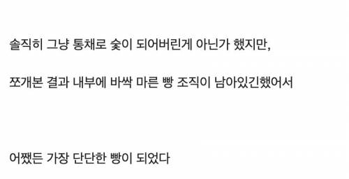 어쨌든 세상에서 가장 단단한 빵.jpg