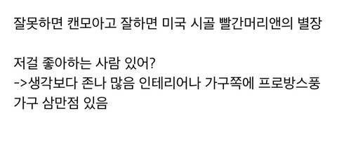 인테리어 호불호계 끝판왕.jpg
