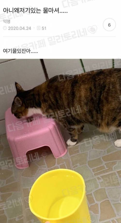 ?? : 아니 왜 저기있는 물마셔..