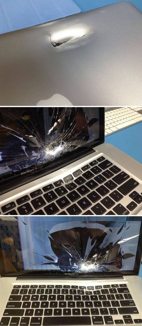 대체 관리를 어떻게 하길래 수화물이 이지경이 되나 궁금한 사진들