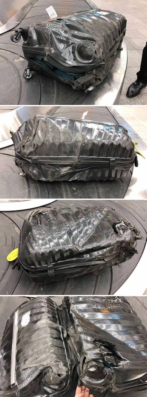 대체 관리를 어떻게 하길래 수화물이 이지경이 되나 궁금한 사진들