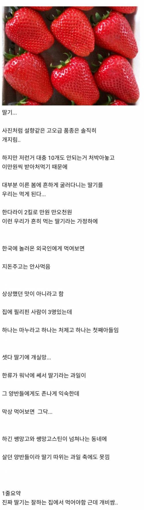 실제로 외국인이 먹어보면 상당히 실망하는 과일 원탑