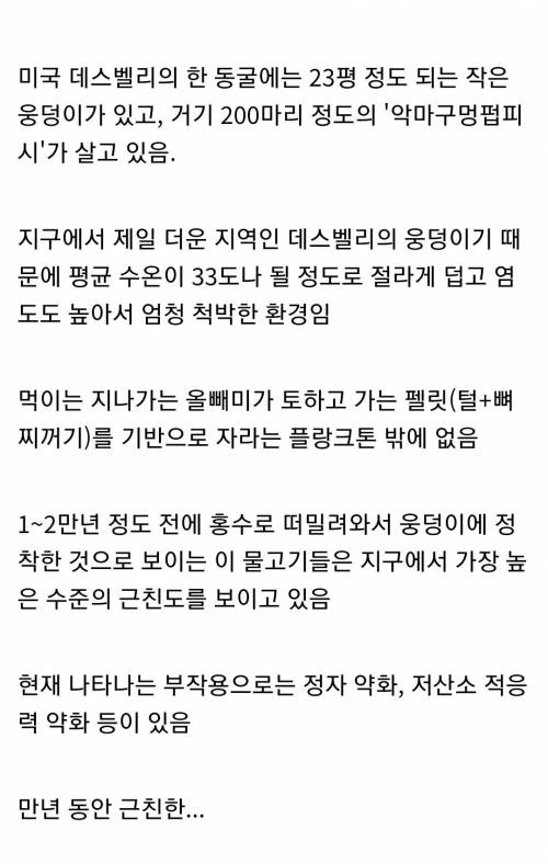 지구 최고의 근친 교배 종족