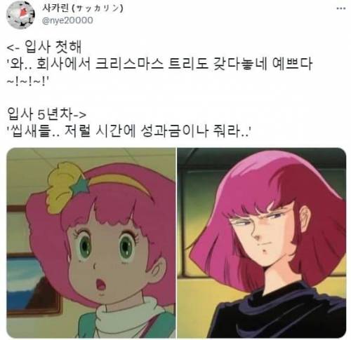 				와.. 회사에서 크리스마스 트리도 갖다놓네 예쁘다~!~!~!