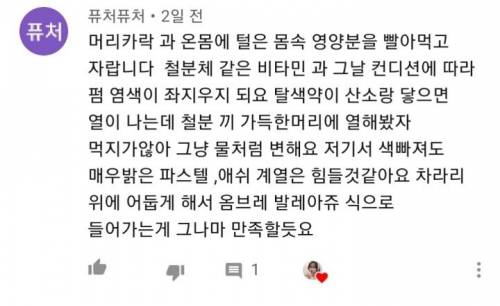 영양제나 철분제 먹을 때 탈색하면 안되는 이유